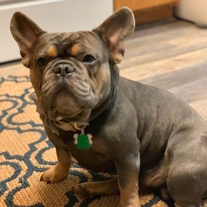 Meet your Posher, Jacob